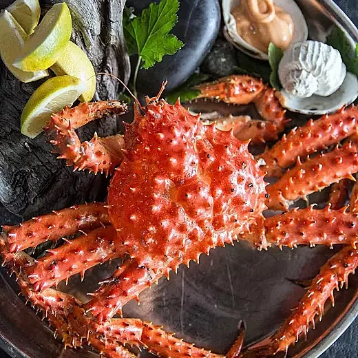 Magellanic king crab